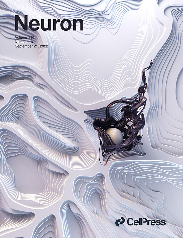 neuron_2022.jpg
